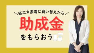 省エネ家電助成金